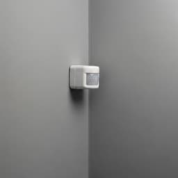 Motion Detection